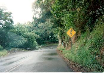 The road and a roadsign on the Road to Hana