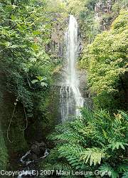 A waterfalls along the Road to Hana