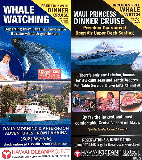 Free Whale Watch Cruise with purchase of Dinner Cruise, Lahina, Maui, Hawaii.