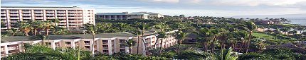 Wailea Hotels